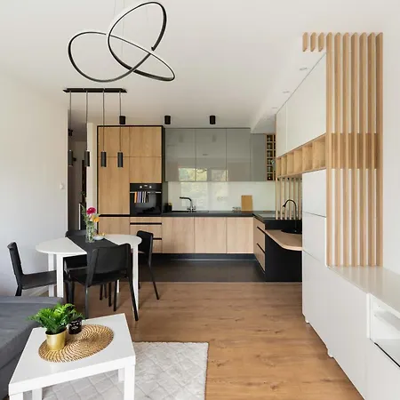 Apartament Cityview Jasielska