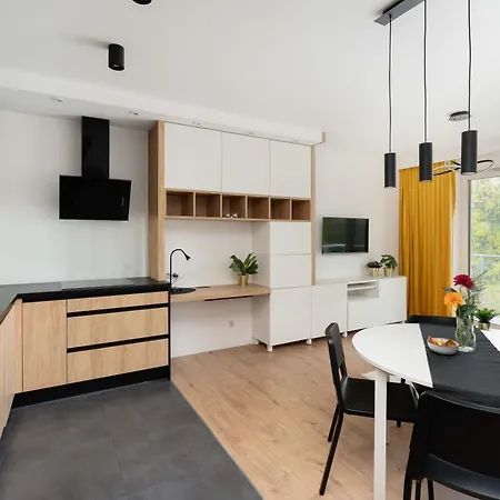 Appartamento Cityview Jasielska *